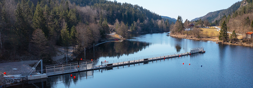 Ledegjerde for laksesmolt