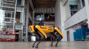 Seks grunner til hvorfor du behøver «bikkja i bygget»